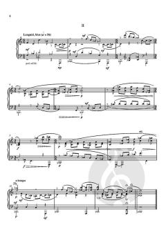 Penta Metrics: Five pieces for solo piano von Libby Larsen (Download) 