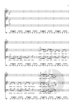 Heart of Earth von Shruthi Rajasekar (Download) 