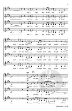 Landslide von Stevie Nicks 