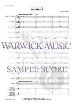 Nahstops 2 von Benjamin Ellin 