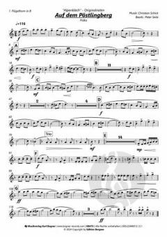 Auf dem Pöstlingberg von Alpenblech 