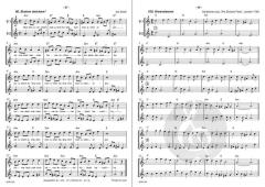 Sopranblockflöte für Erwachsene 2 von Johannes Bornmann 