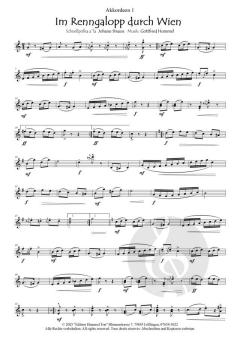 Im Renngalopp durch Wien von Gottfried Hummel 