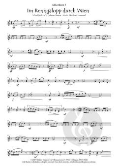 Im Renngalopp durch Wien von Gottfried Hummel 