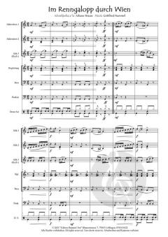 Im Renngalopp durch Wien von Gottfried Hummel 