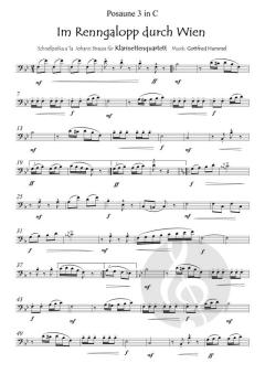 Im Renngalopp durch Wien von Gottfried Hummel 