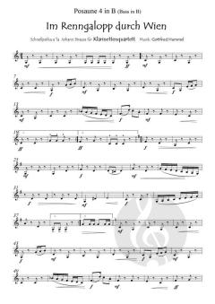 Im Renngalopp durch Wien von Gottfried Hummel 