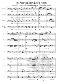 Im Renngalopp durch Wien von Gottfried Hummel 