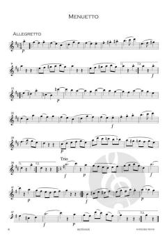 Serenade 1 von Wolfgang Amadeus Mozart 