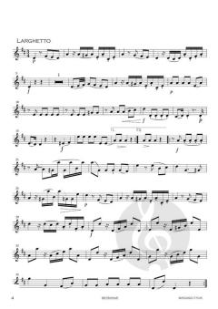 Serenade 2 von Wolfgang Amadeus Mozart 