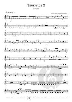 Serenade 2 von Wolfgang Amadeus Mozart 