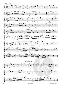 Serenade 3 von Wolfgang Amadeus Mozart 