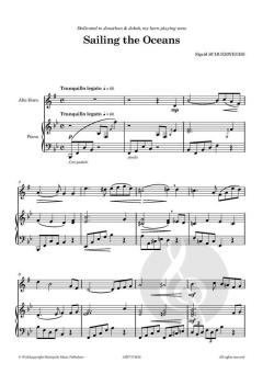 Sailing the Oceans von Sigrid Schuerweghs 