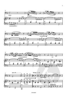 Romanza Breve e Frizzante von Sigrid Schuerweghs 