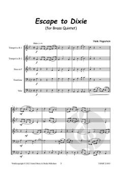 Escape to Dixie von Henk Hogestein 