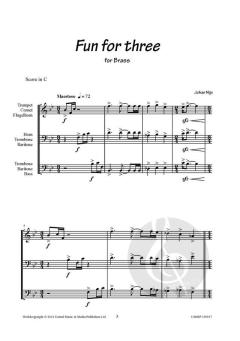 Fun for 3 von Johan Nijs 