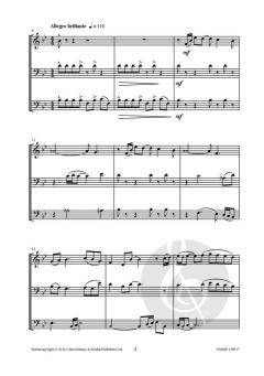 Fun for 3 von Johan Nijs 