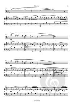 Micantia von Peter Knockaert 