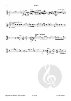 Trikona von André de Groote 