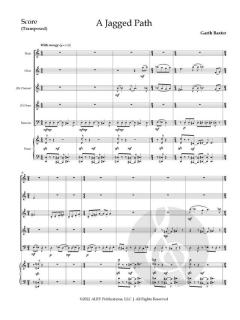 A Jagged Path von Garth Baxter 