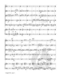 A Jagged Path von Garth Baxter 