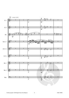 Different Places von Robert Van Aerschot 