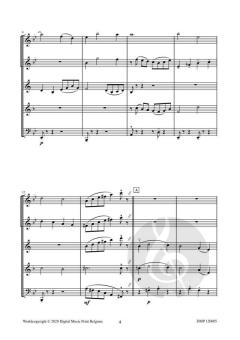 Apex von Robert Van Aerschot 