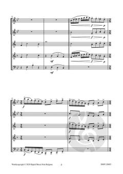 Apex von Robert Van Aerschot 