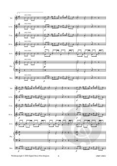 Makeit Funky von Robert Van Aerschot 