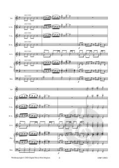 Makeit Funky von Robert Van Aerschot 