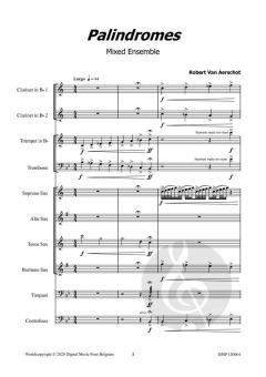 Palindromes von Robert Van Aerschot 