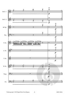 Palindromes von Robert Van Aerschot 