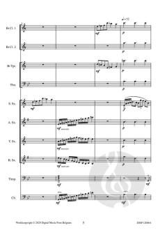 Palindromes von Robert Van Aerschot 