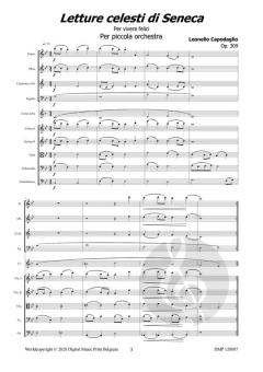 Letture Celestidi Seneca von Leonello Capodaglio 