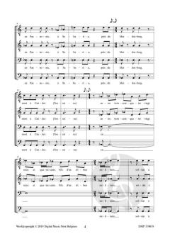 Saint Martin von Annette Kruisbrink 