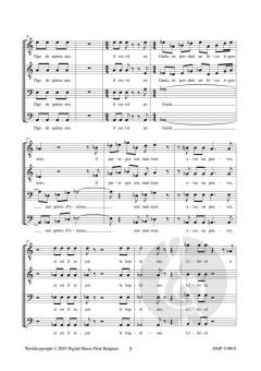 Saint Martin von Annette Kruisbrink 