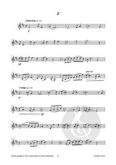 20 Rhythmic Studies von Johan Nijs 