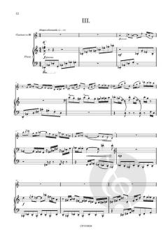 Sonata von Stephane van de Ginste 