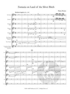 Fantasia on Land of the Silver Birch von Nancy Nourse 