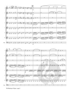 The Marriage of Figaro von Wolfgang Amadeus Mozart 