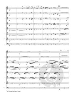 The Marriage of Figaro von Wolfgang Amadeus Mozart 