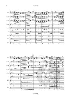 Carrousel von Guy Verhelst 