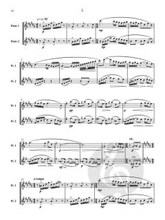 Seeing Double von Gary Schocker 