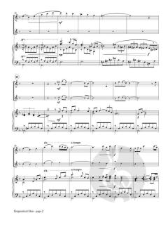 Enigmatical Man von Michael Davis 