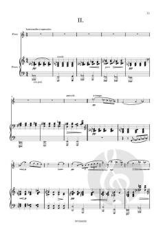 Sonata von Stephane van de Ginste 