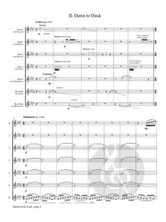 Spirits of the Land von Laura Pettigrew 