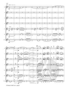 A Journey With Love von Phyllis Avidan Louke 