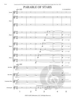 Parable of Stars von Gay Kahkonen 