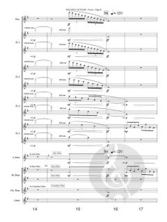 Parable of Stars von Gay Kahkonen 