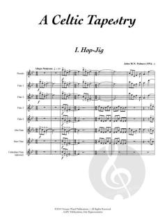 A Celtic Tapestry von John W.N. Palmer 